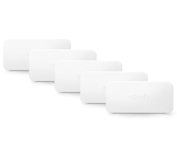 SOMFY SYPROTECT INTELLITAG 5 szt. 2401488 - 436360 - zdjęcie